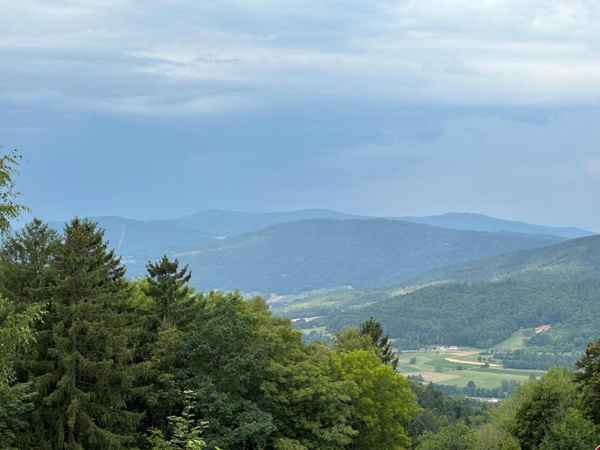 Modernes Top Apartment Mitten Im Bayerischen Wald + Wlan Kostenfrei Schöfweg Exterior foto